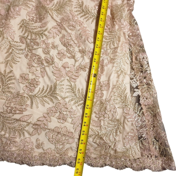 Tadashi Shoji Embroidered gown Women's Size 12 Pink/Gold - Picture 8 of 12